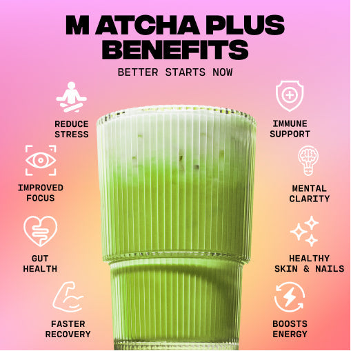 30-servings-of-mushroom-matcha-free-starter-kit-z1 1_e8b56491-7cb2-472e-ac2c-4f42e819f02f.jpg
