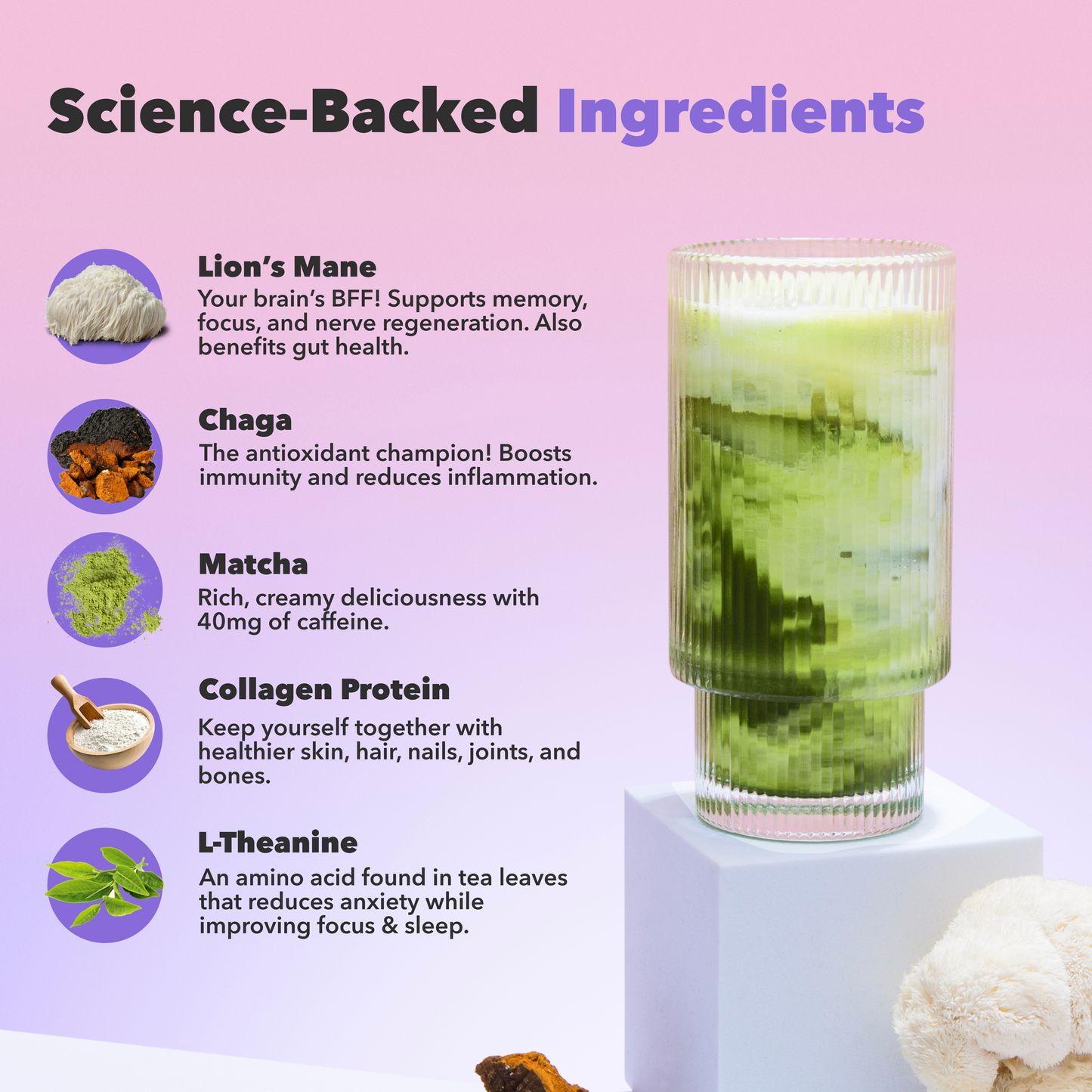30-servings-mushroom-matcha-y7 custom_resized_386f63f8-0691-449c-9e51-462fed6c0033.png